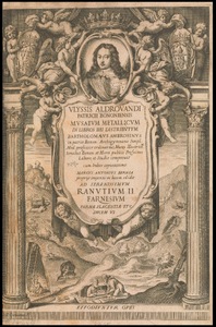 Musaeum metallicum